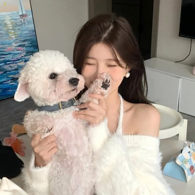 选举风暴